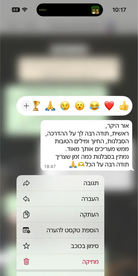 ביקורת לקוחות — צילום מסך 7