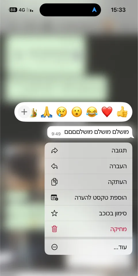 ביקורת לקוחות — צילום מסך 9